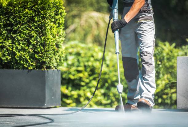 Trusted La Plata, MD Pressure Washing Experts